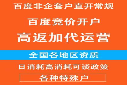 百度竞价排名策略解析及实战案例